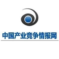中國產(chǎn)業(yè)競爭情報網(wǎng) 專業(yè)信息咨詢服務的戰(zhàn)略價值與應用